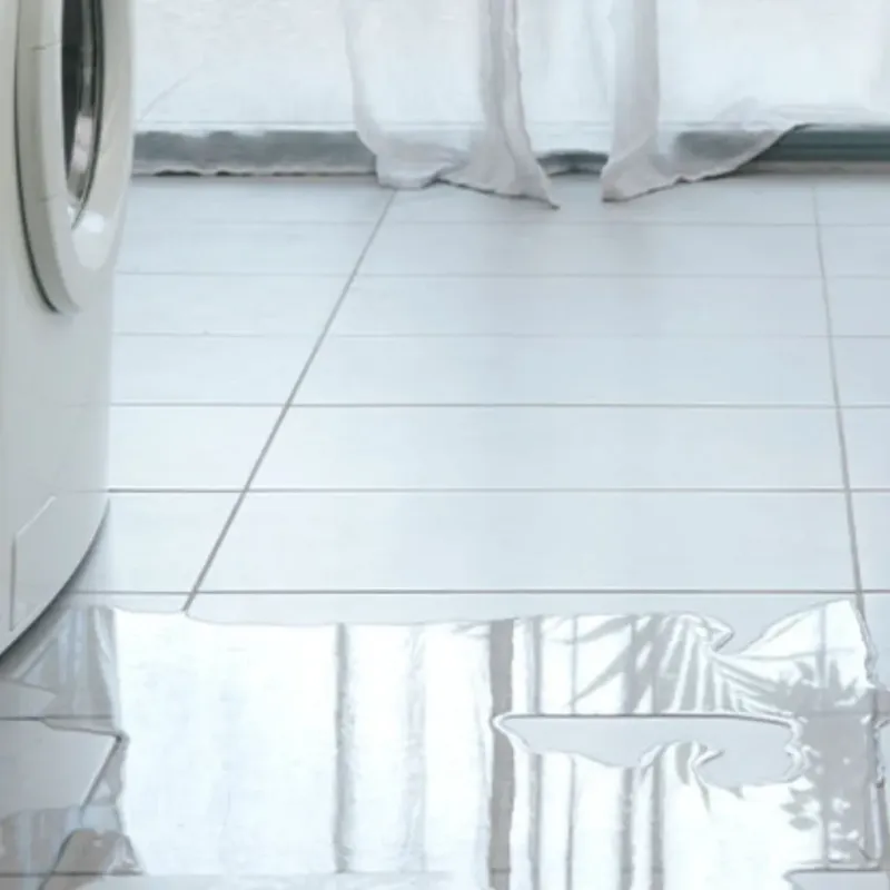 Appliance Leak Cleanup in Sutton, NH