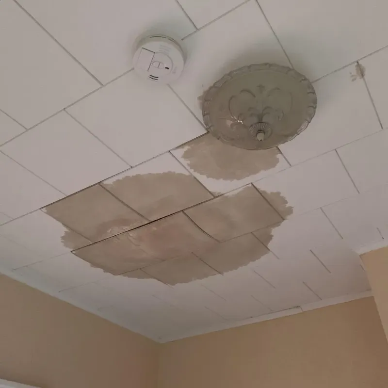 Ceiling Water Damage Repair in Sutton, NH
