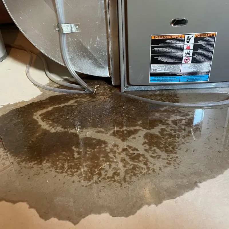 Pipe Burst and Leak Restoration in Sutton, NH